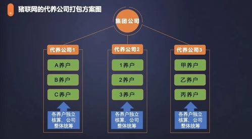農(nóng)信互聯(lián)與紅明彪集團合作 手機軟件設(shè)計與開發(fā)引領(lǐng)創(chuàng)新發(fā)展新模式